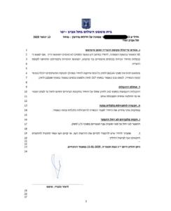 צו שיקום כלכלי החלטת בית משפט ללקוח בייצוג נועם אברהם 3