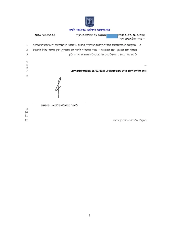 הצלחה מספר 23812-07-24 דף3
